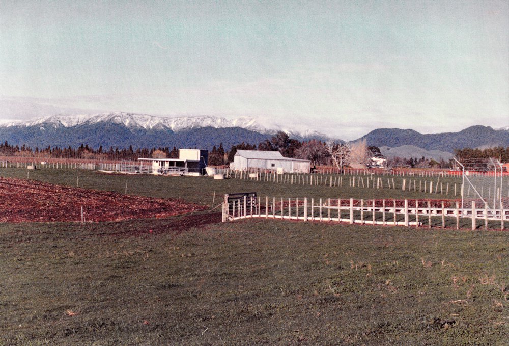 Snow on the Kaimai Ranges, 1989.