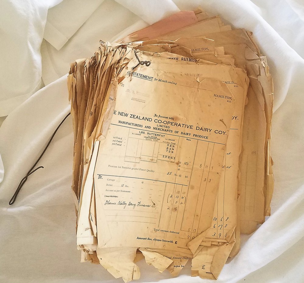 Financial Statements - Dairy