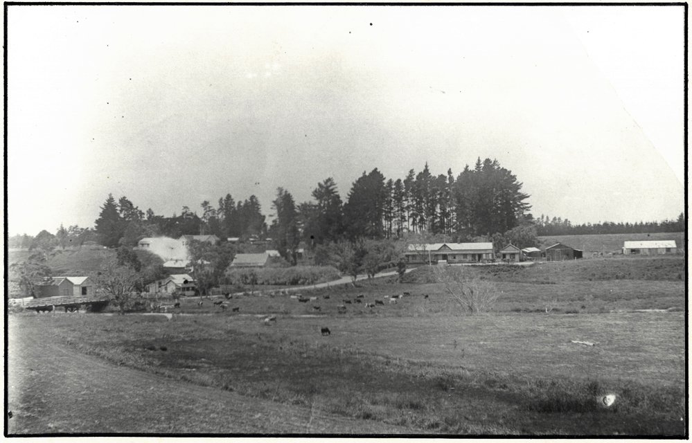 Katikati early settlement