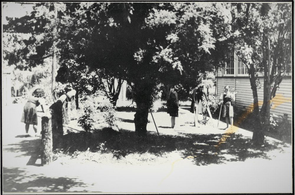 Girls' horticulture at Katikati District High School 