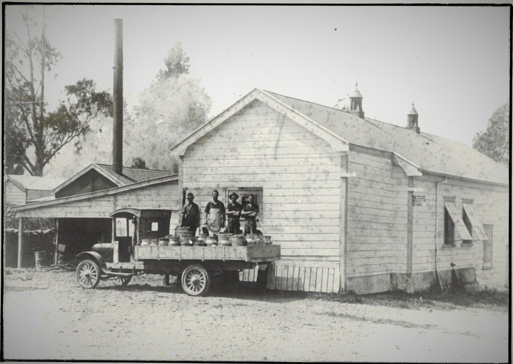 Katikati Dairy Factory with additional construction