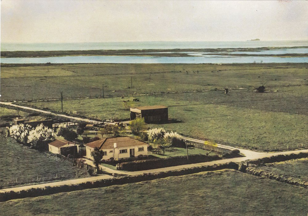 Jack Pittar's farm near Maketu