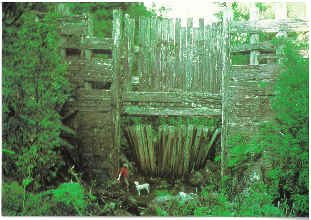 Kauri Dam built c1910