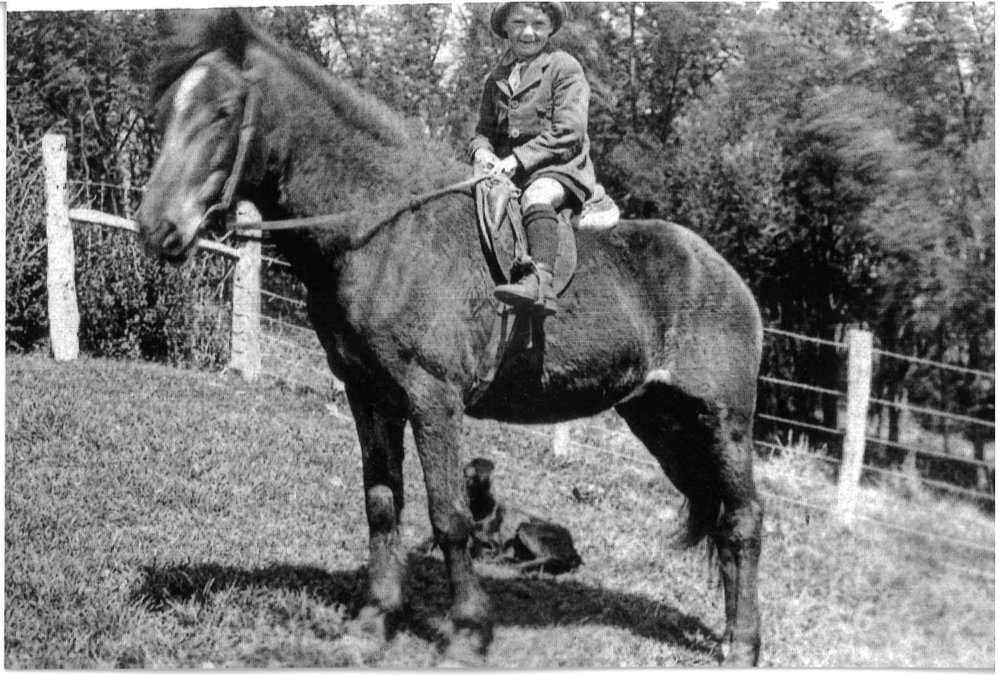 Donald Reid on Charlie the pony