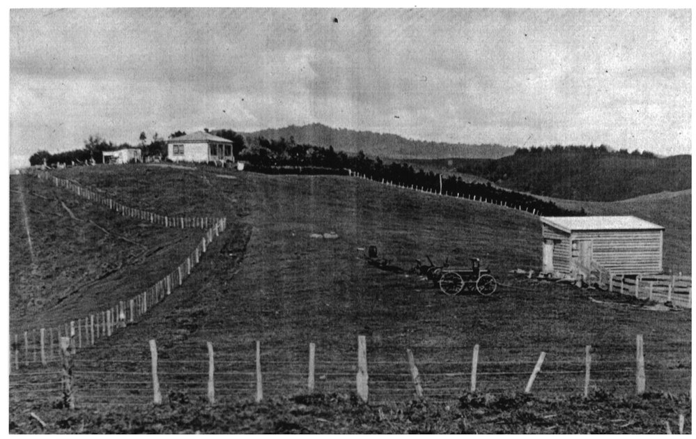 Reid farm, Papmoa Hills