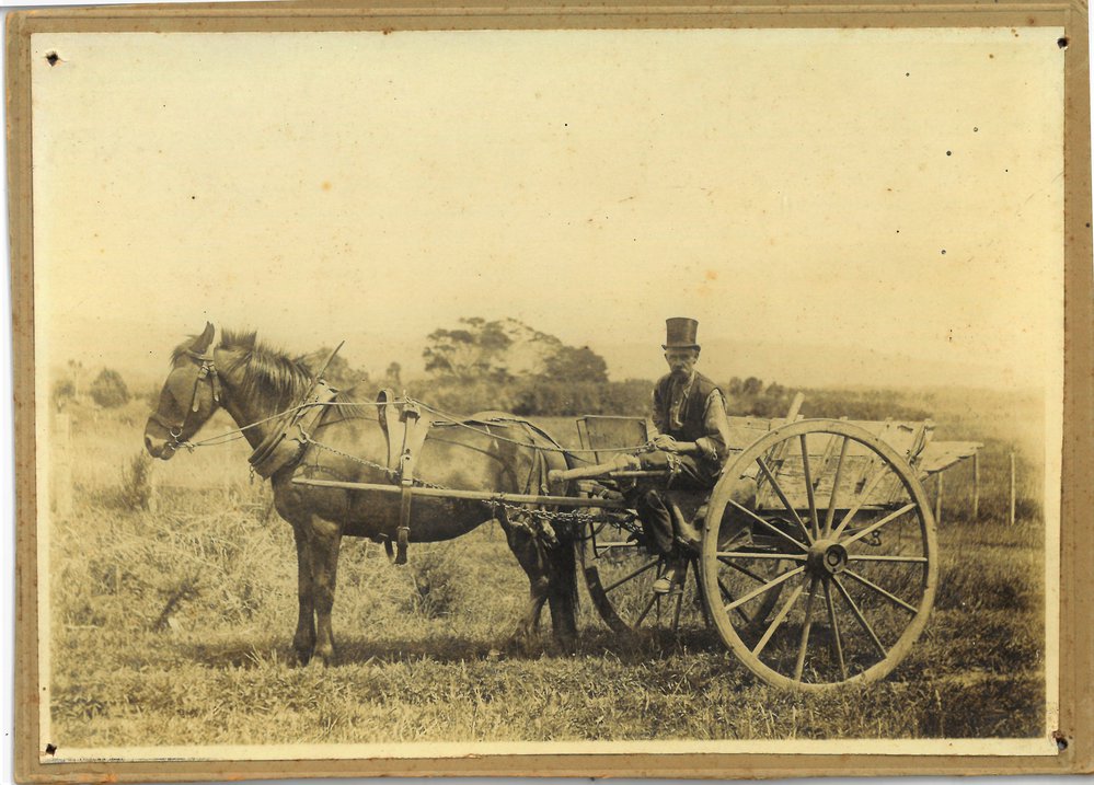 Pegleg Pinker - green grocer