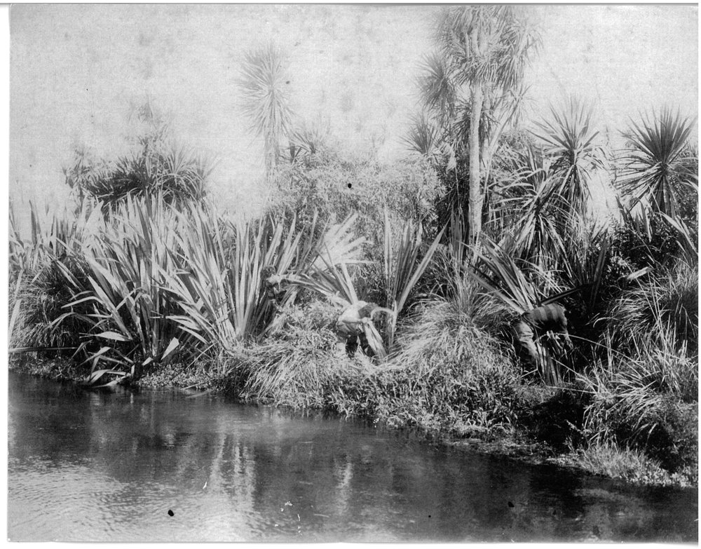 The Flax Industry along the Waiari River