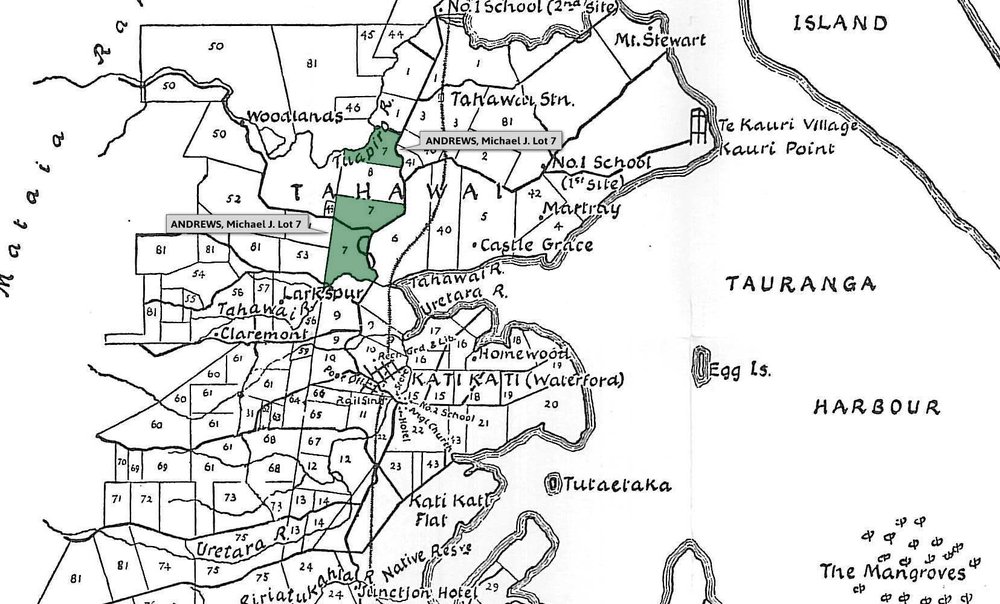 SETTLER ANDREWS, Michael J. Lot 7 Tahawai Settlement