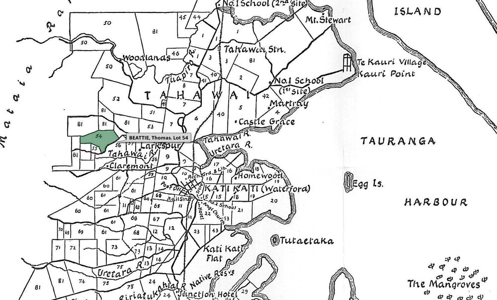 SETTLER BEATTIE, Thomas. Lot 54 Tahawai Settlement