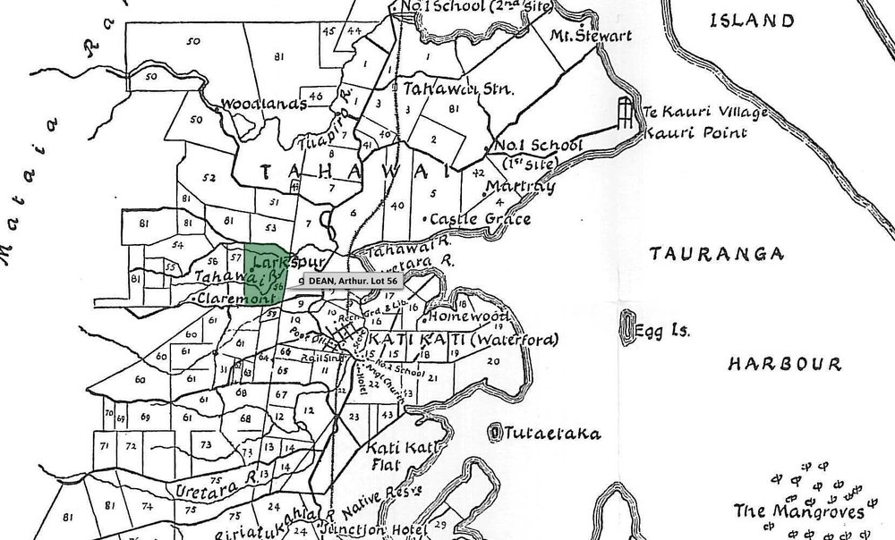 SETTLER DEAN, Arthur. Lot 56 Tahawai Settlement