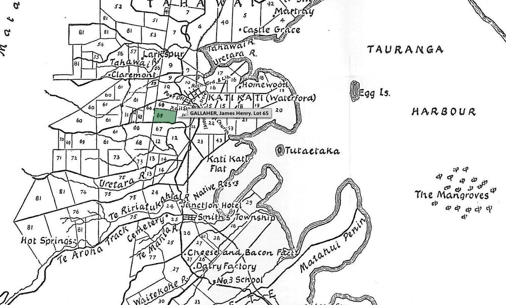 SETTLER GALLAHER, James Henry. Lot 65 Tahawai Settlement