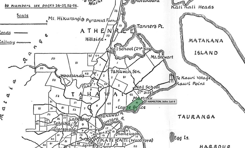 SETTLER HAMILTON, John. Lot 4 Tahawai Settlement