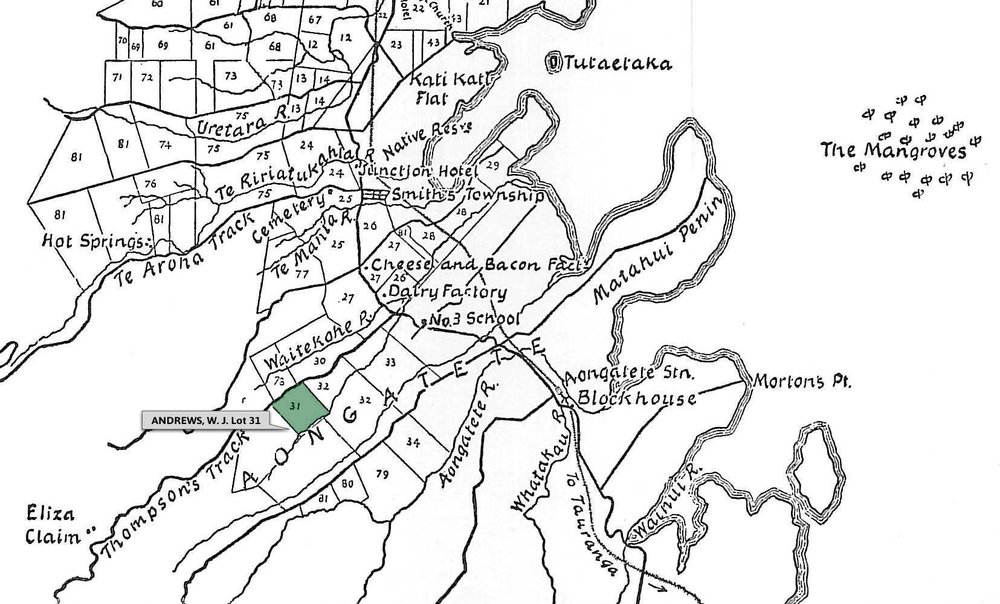 SETTLER ANDREWS, W. J. Lot 31 Te Mania Settlement