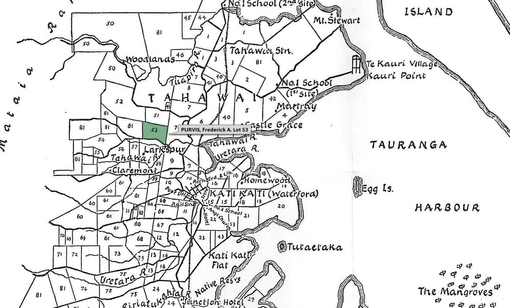 SETTLER PURVIS, Frederick A. Lot 53 Tahawai Settlement