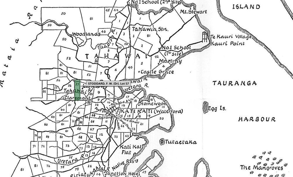 SETTLER STODDARD, F. W. (Dr). Lot 57 Tahawai Settlement