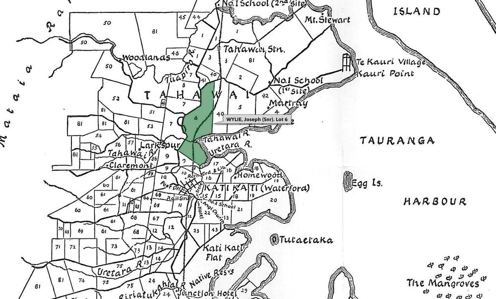 SETTLER WYLIE, Joseph (Snr). Lot 6 Tahawai Settlement