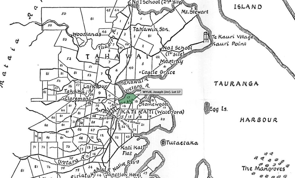 SETTLER WYLIE, Joseph (Jnr). Lot 17 Tahawai Settlement