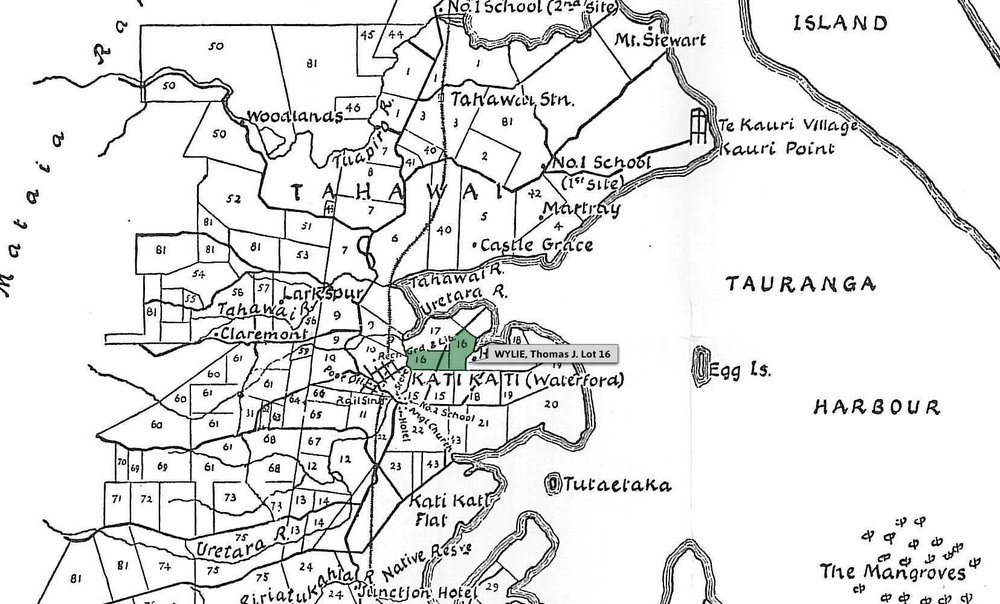 SETTLER WYLIE, Thomas J. Lot 16 Tahawai Settlement
