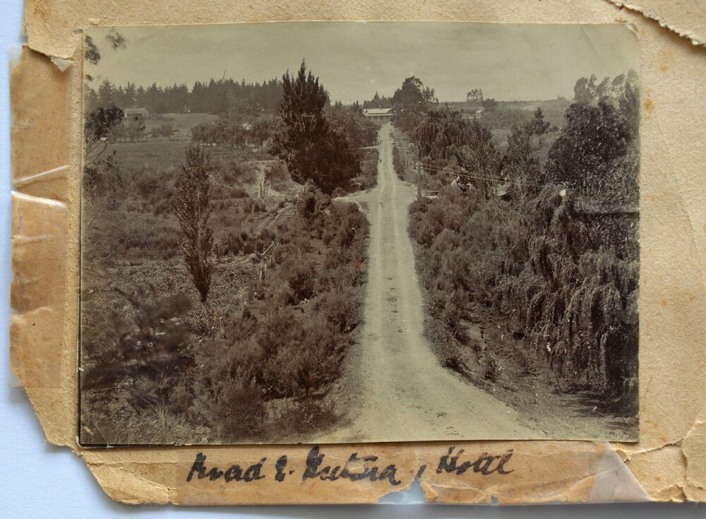 Driveway leading to Twickenham in Katikati