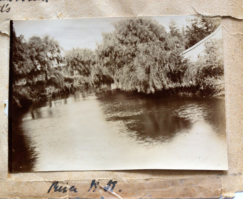 Uretara Stream at Katikati