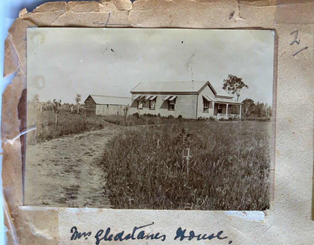 Driveway leading to Twickenham in Katikati