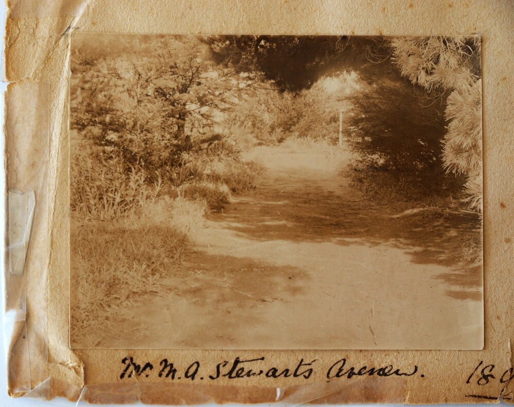 Fincoul avenue at Katikati