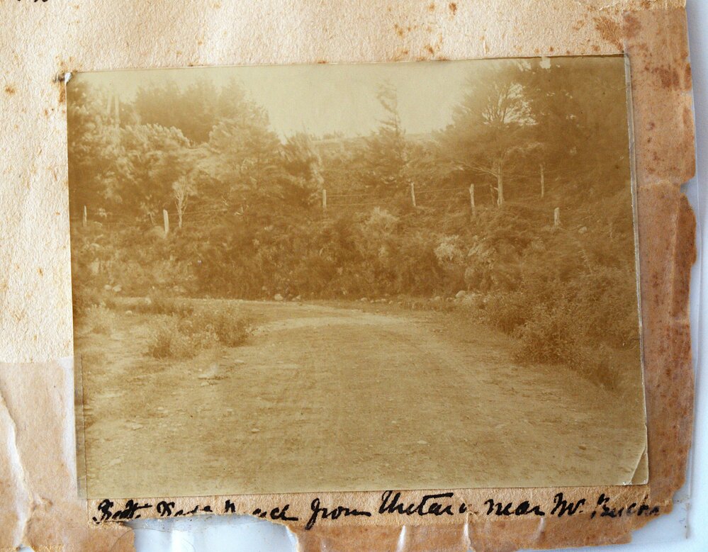 Katikati road from Uretara near the Buckworth's
