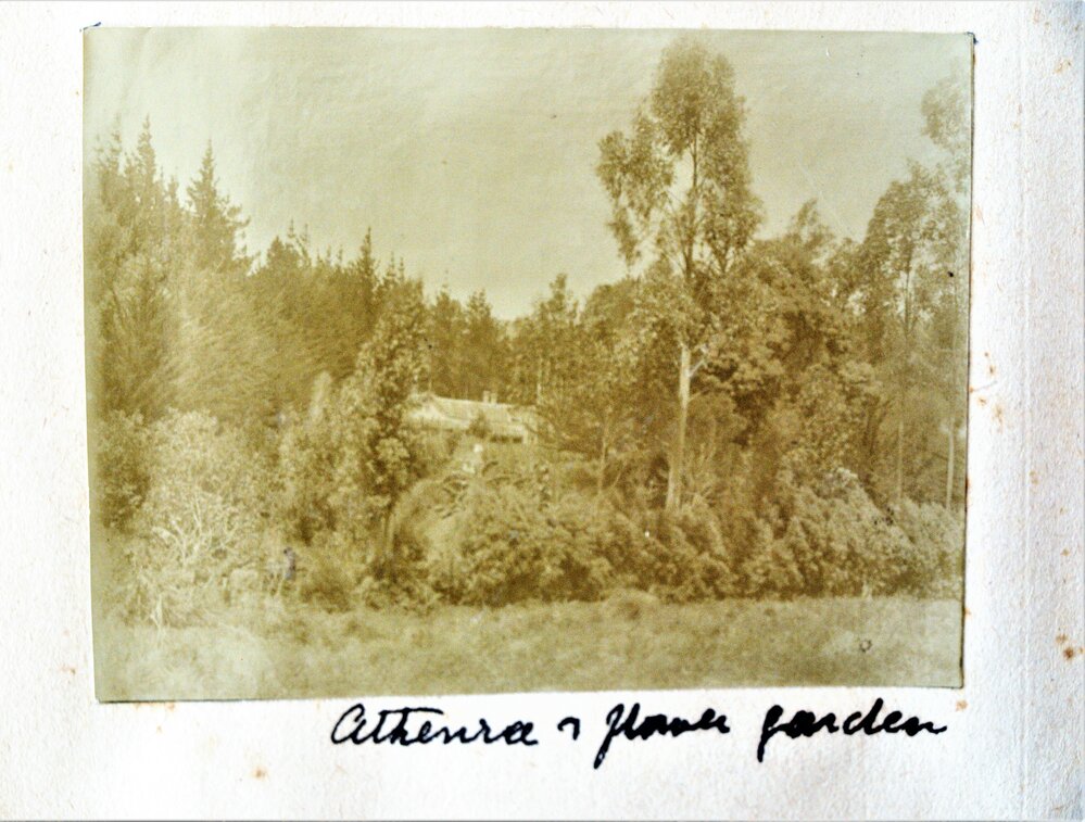 Garden at Athenree Homestead
