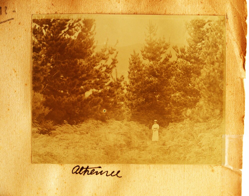 Euphemia Forbes Jones at Athenree