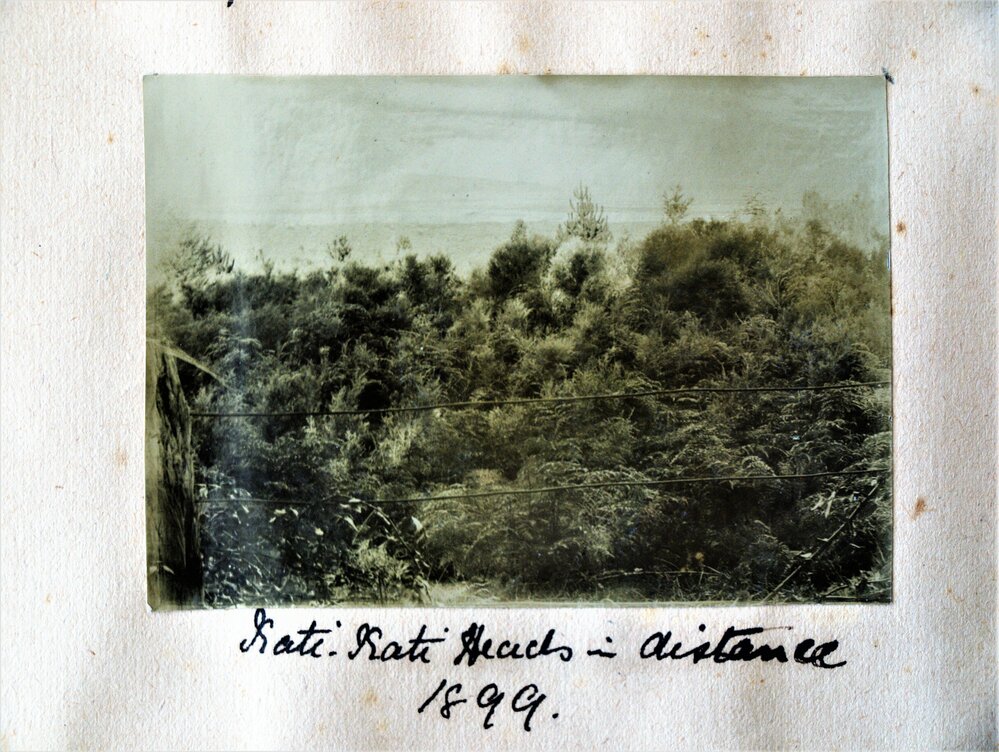 View through a wire fence of Athenree bush with Katikati Heads in the distance
