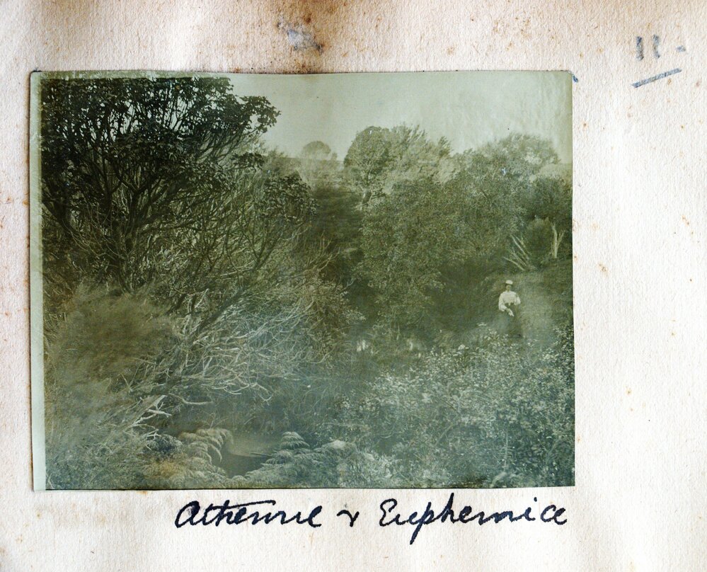 Euphemia Forbes Jones in Athenree