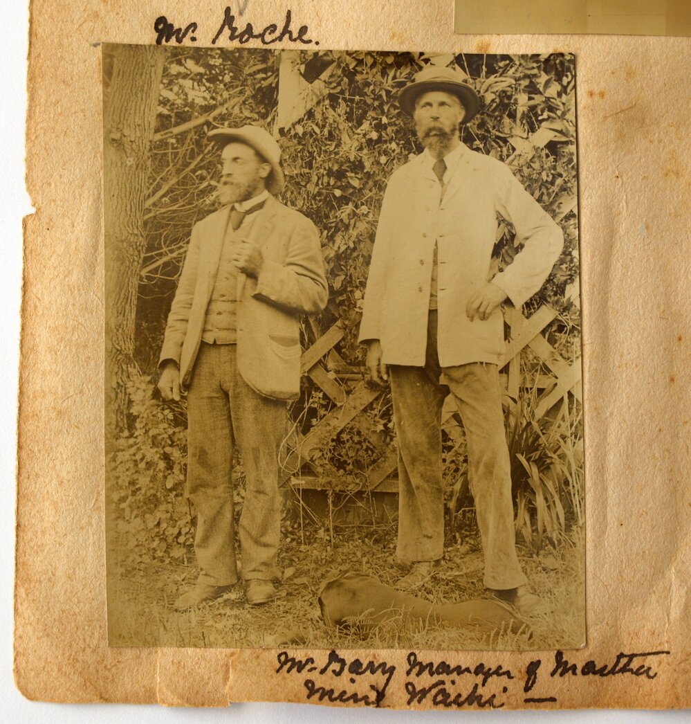 Henry Roche and Hubert Percy Barry at Katikati