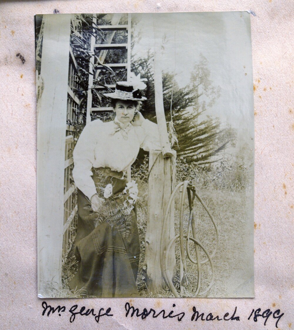 Evyleen Morris (nee Gledstanes)