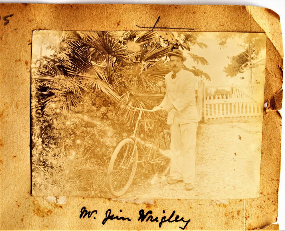 James Marsden Wrigley of Waihi