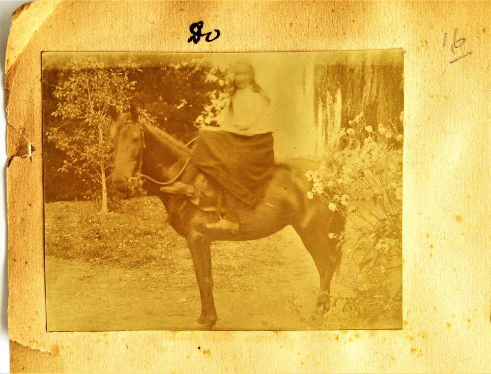 Evyleen Stewart sitting side saddle on Pharoah the horse
