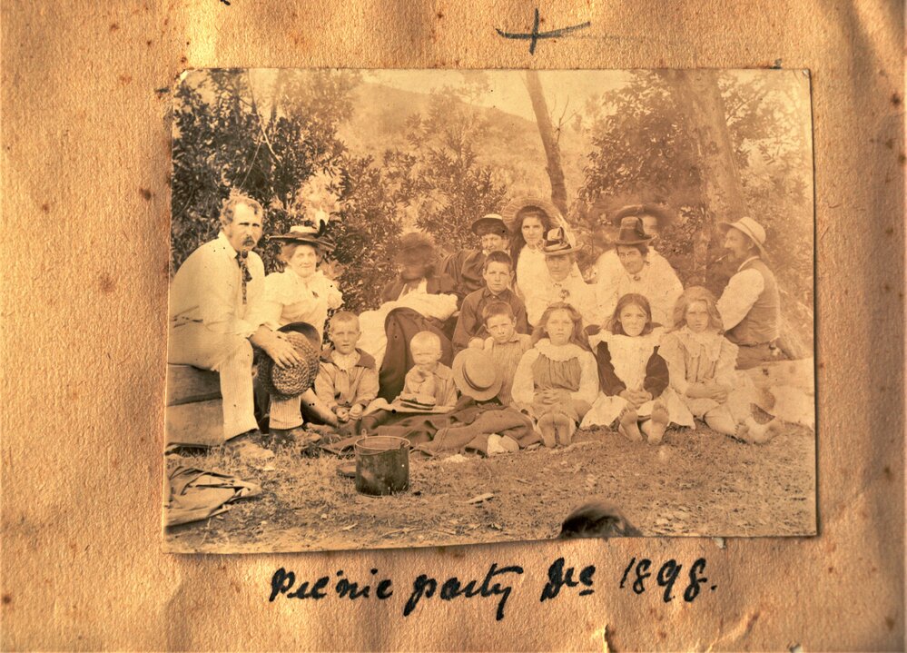 Picnic party at Waiora Springs
