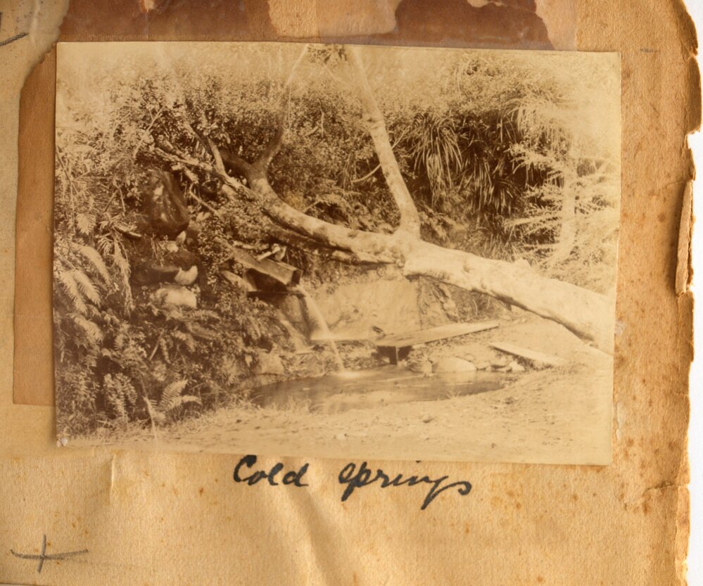 Cold Springs, Katikati