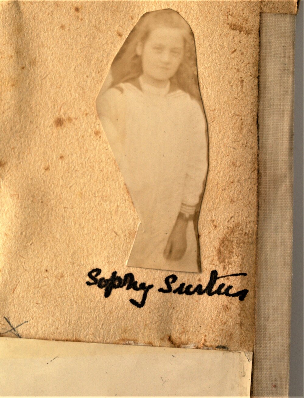 Sophy Surtees
