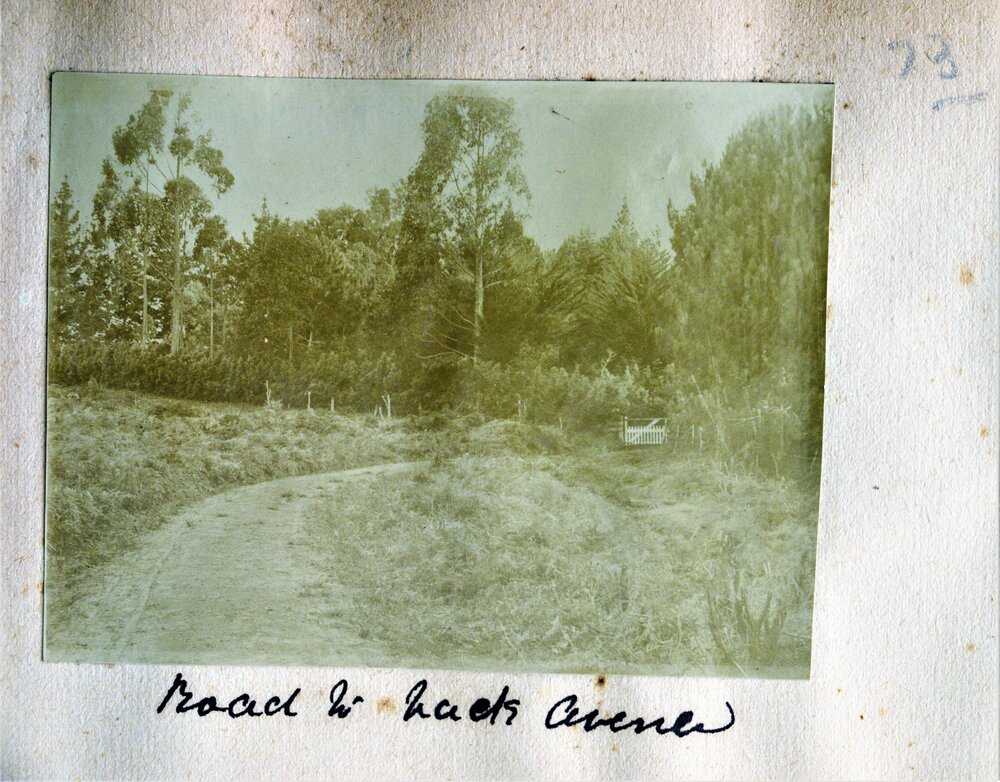 Back road to Athenree and picket gate