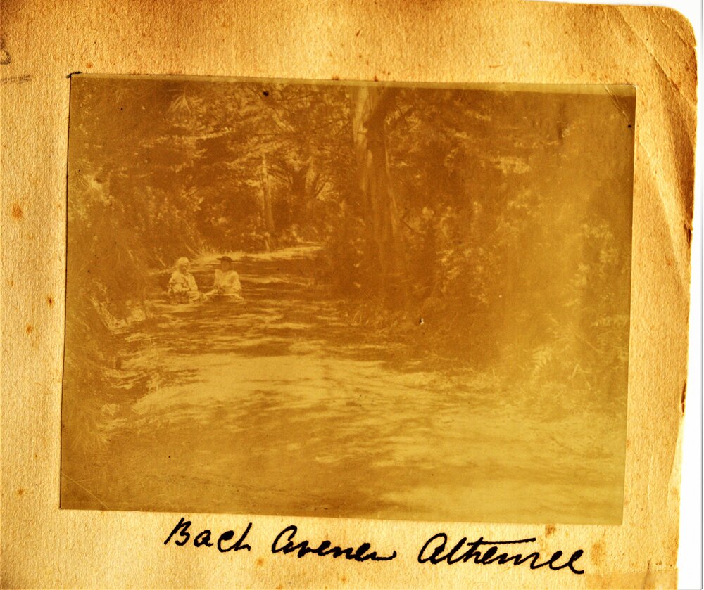 Back avenue to Athenree Homestead with two people seated on the driveway