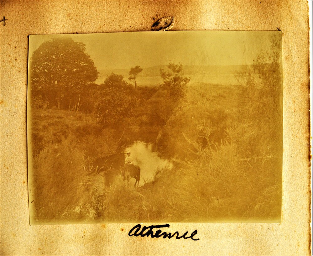 A lady on horseback along the Waiau River, Athenree