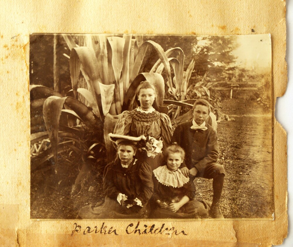 The Parker children at Katikati.