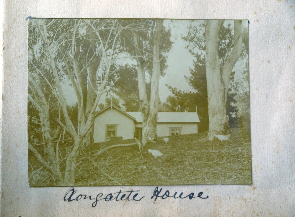 House at Aongatētē