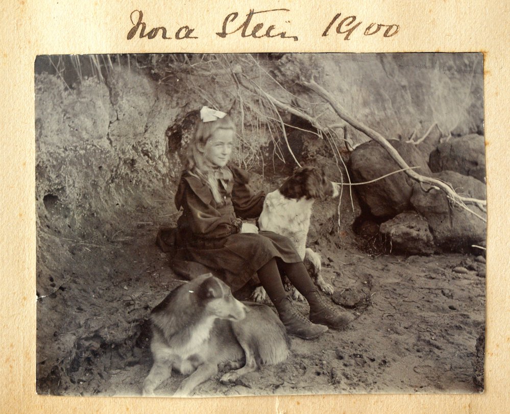 Norah Stein with two dogs.