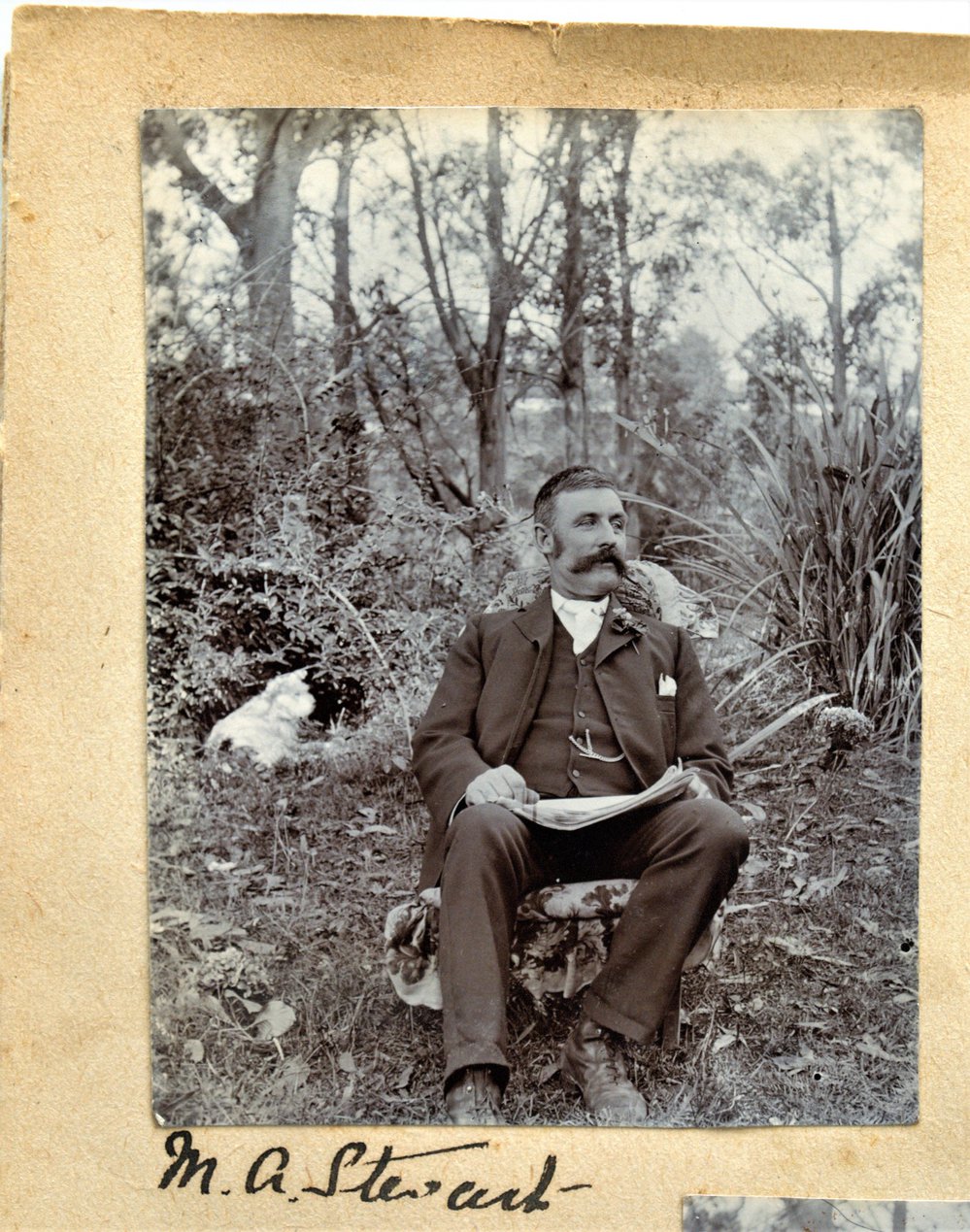 Mervyn Archdale Stewart.