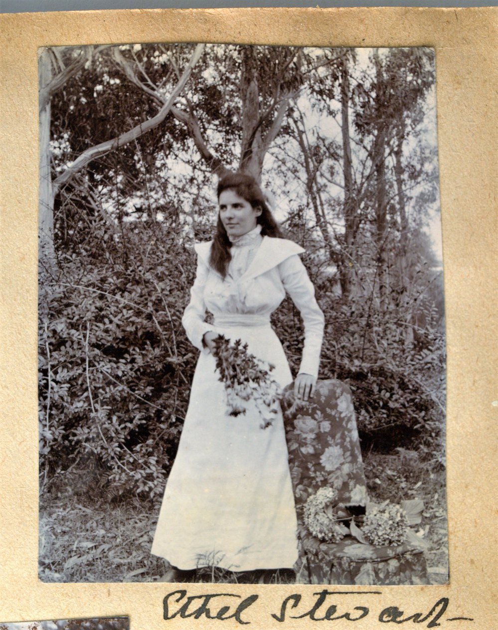 Mary Ethel Sophia Stewart