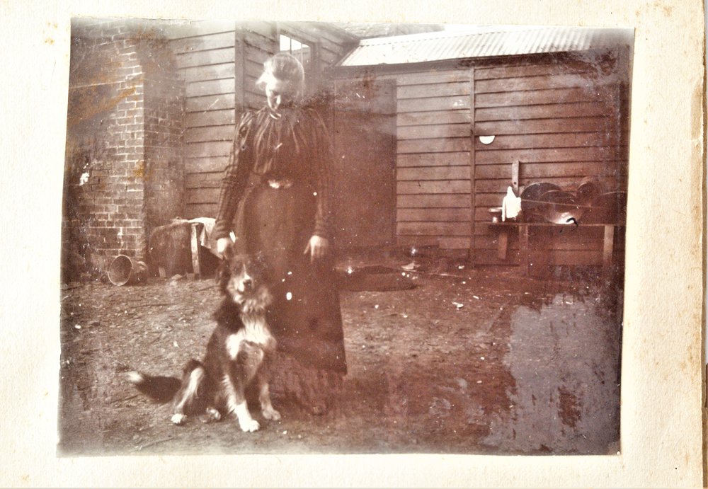 Phoebe Stewart (n&eacute;e Gledstanes) and dog.