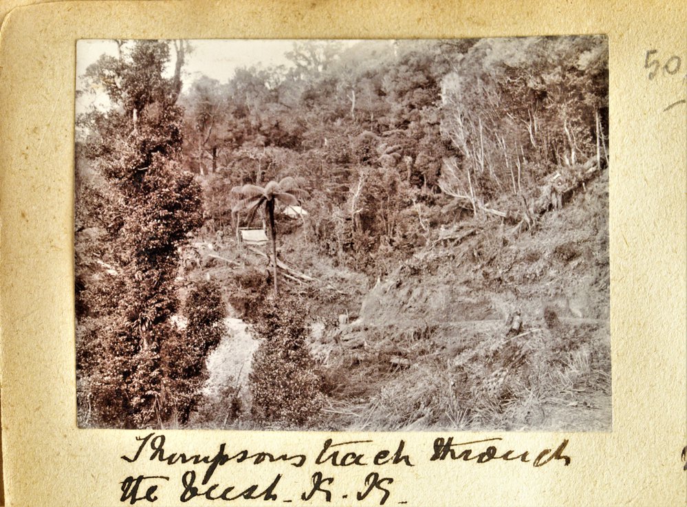 Thompson's Track through the bush