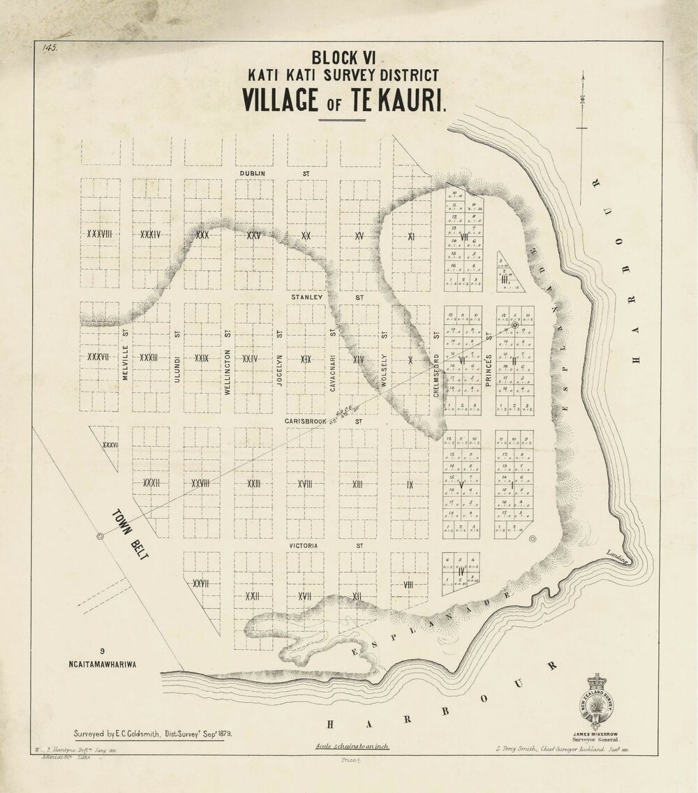TOWN Te Kauri Point township plan drg 145 1881