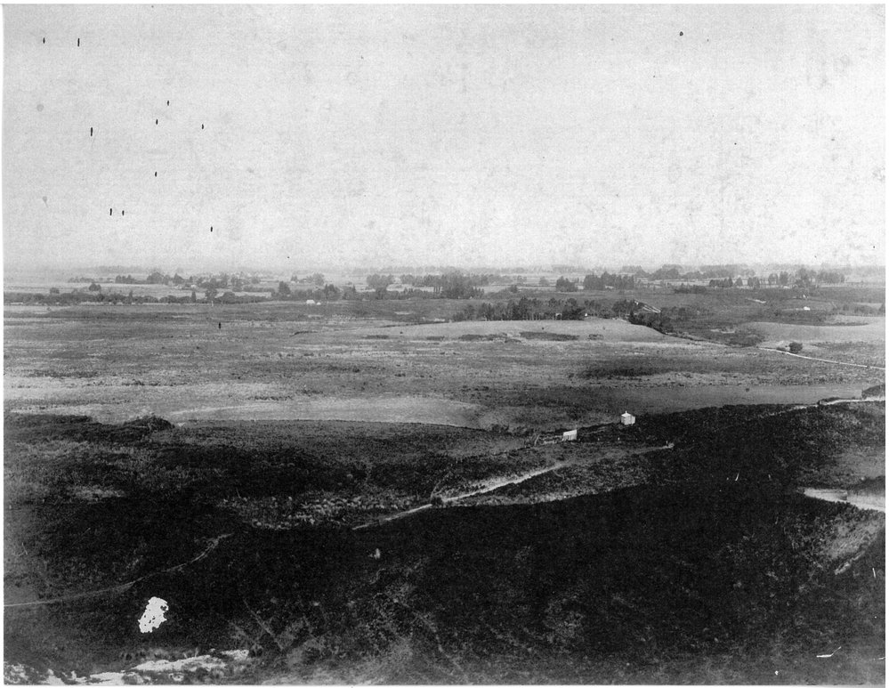 A View of Te Puke from the Papamoa Hills